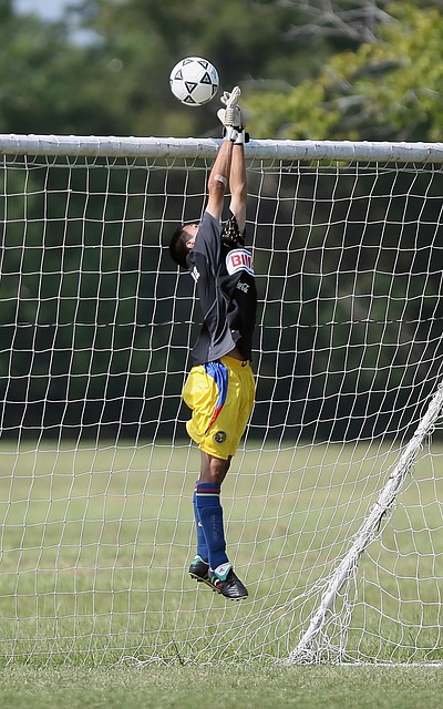 地区旅游业 地区旅游业