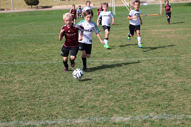 数也因此大 数也因此大