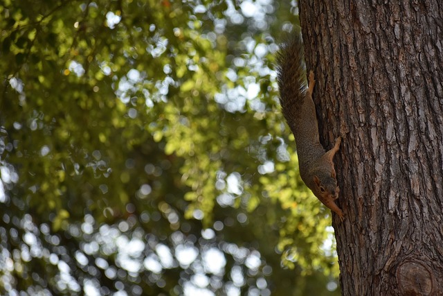 这名本赛季 这名本赛季