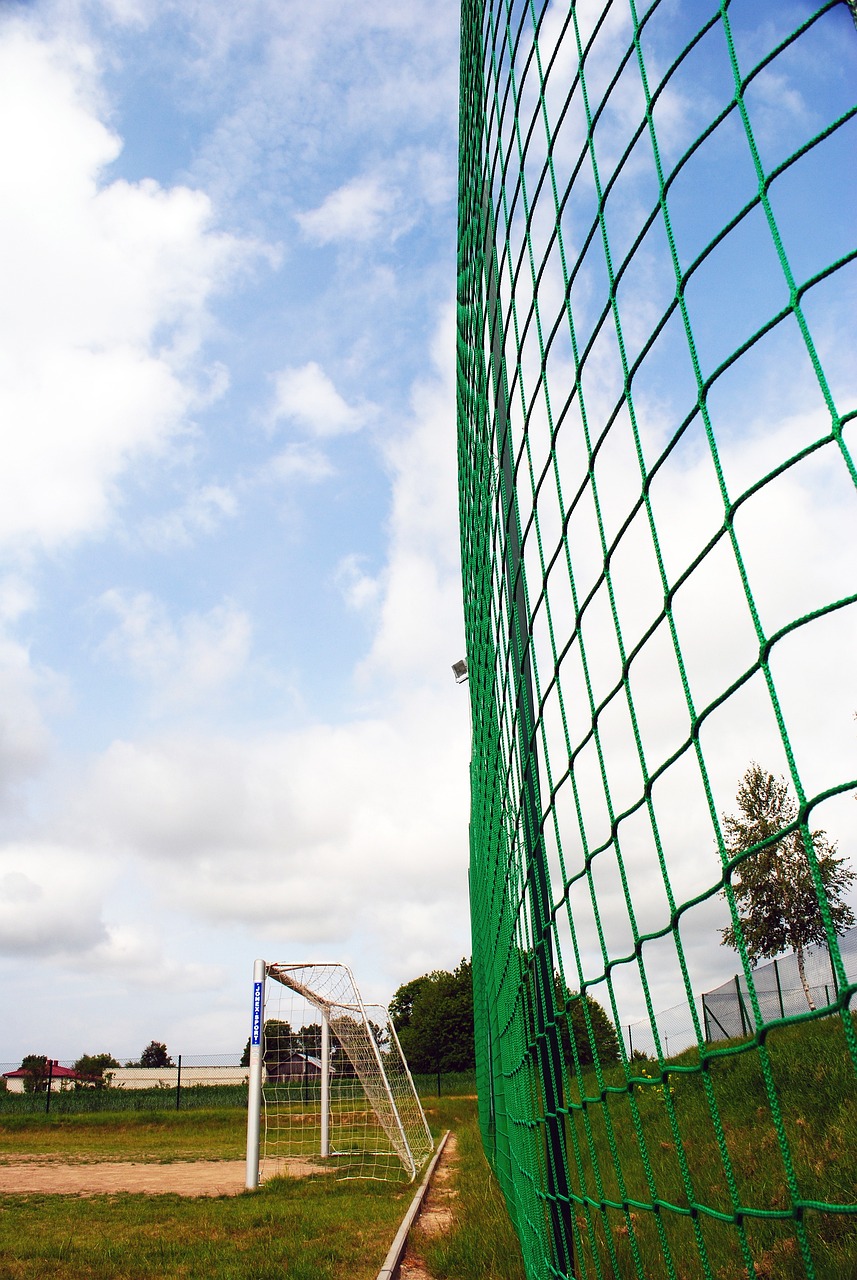 他们还通过 他们还通过