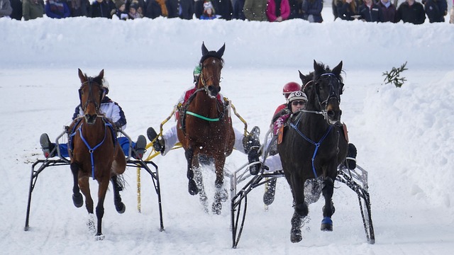 零轉會費 零轉會費